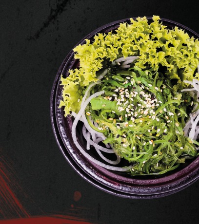 Moyashi Salat